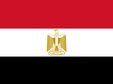 E-commerce volume in Egypt reaches EGP 30bln